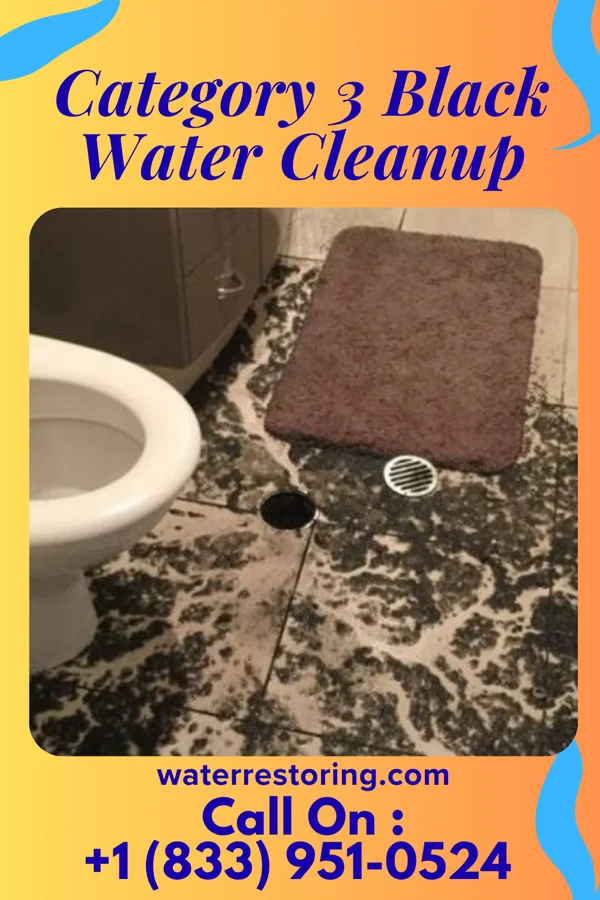 Category 3 Black Water Cleanup in Rocky Point, OR